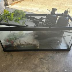 20 Gallon Tank With Fluval 207 Filter System 