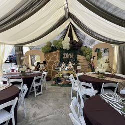Draping Wedding Quincenera Birthday Baby Shower Etc..