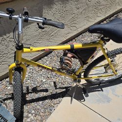 TREK MOUNTAIN BIKE AND Raleigh Mtn Bike