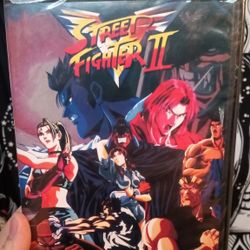 Street Fighter 2 Anime TV Show DVD 
