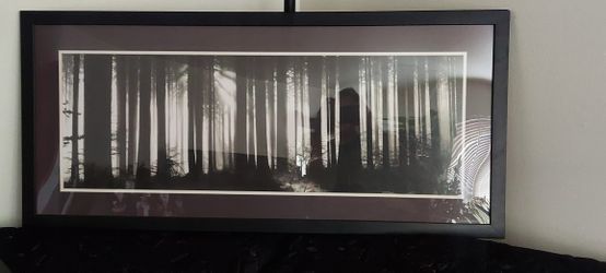 Forest Frame