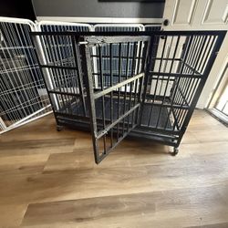 Dog Cage 