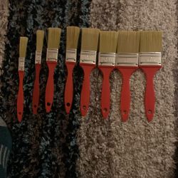 Assorted Paint Brushes 