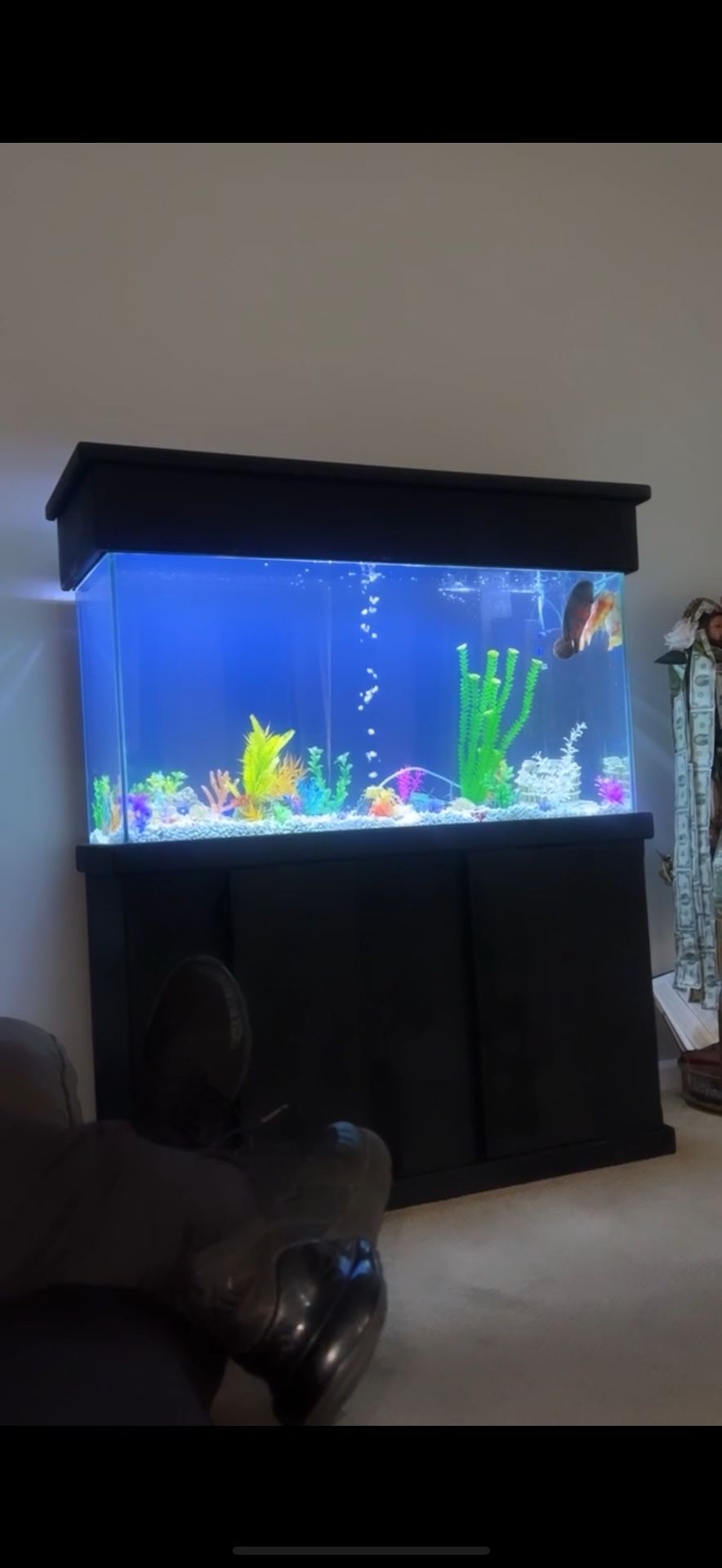 Fish Tank With Extras