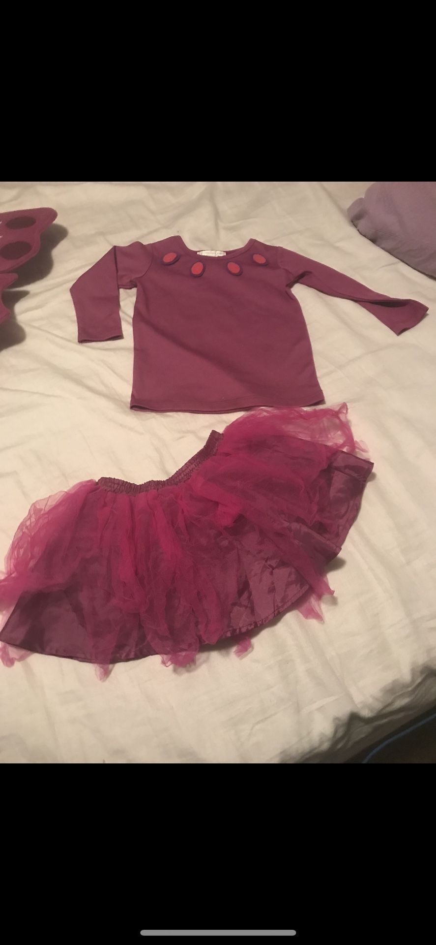 Pottery barn butterfly costume