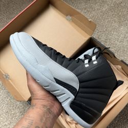 Jordan 12 Size 10.5