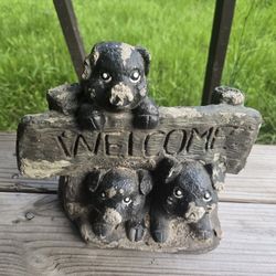 Pig 