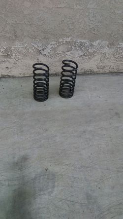 Mustang back sprins