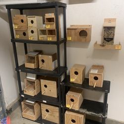 Bird Nest Distribution