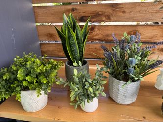 Fake plants