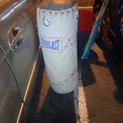 Everlast Punching Bag
