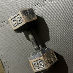 35lb Iron Weight 