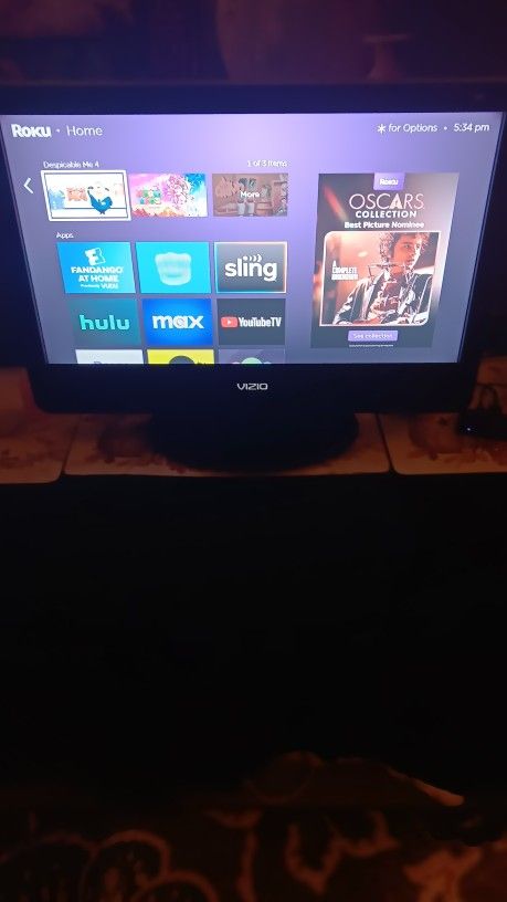 Roku Tv 24"