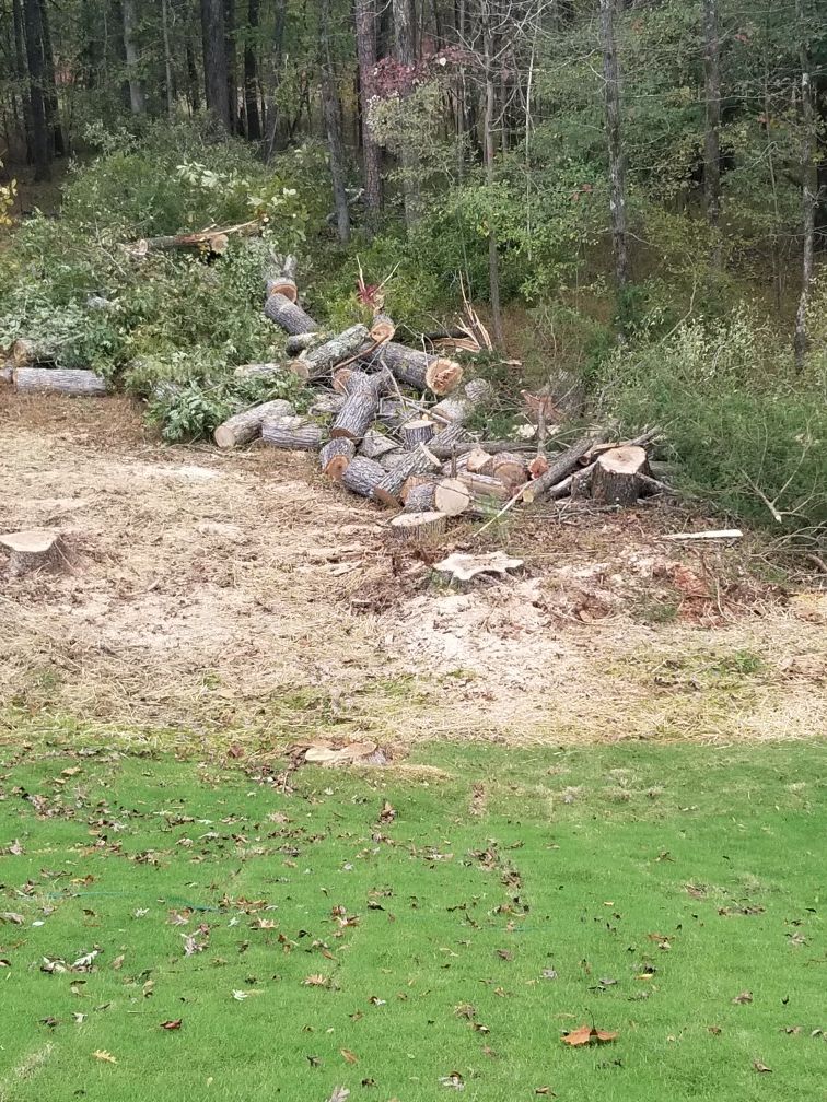 Free Firewood