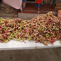 Venta De Guamucheles 