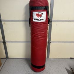 Heavy Training Bag