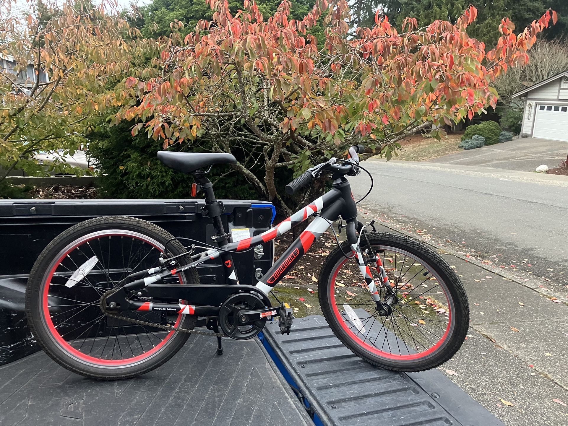 Child Kid Children 20” Wheels Guardian BMX Bike Bicycle In Good Condition