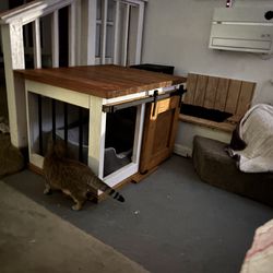 Looking for a Yorkie puppy to adopt