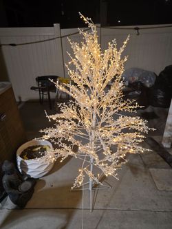 Branch tree