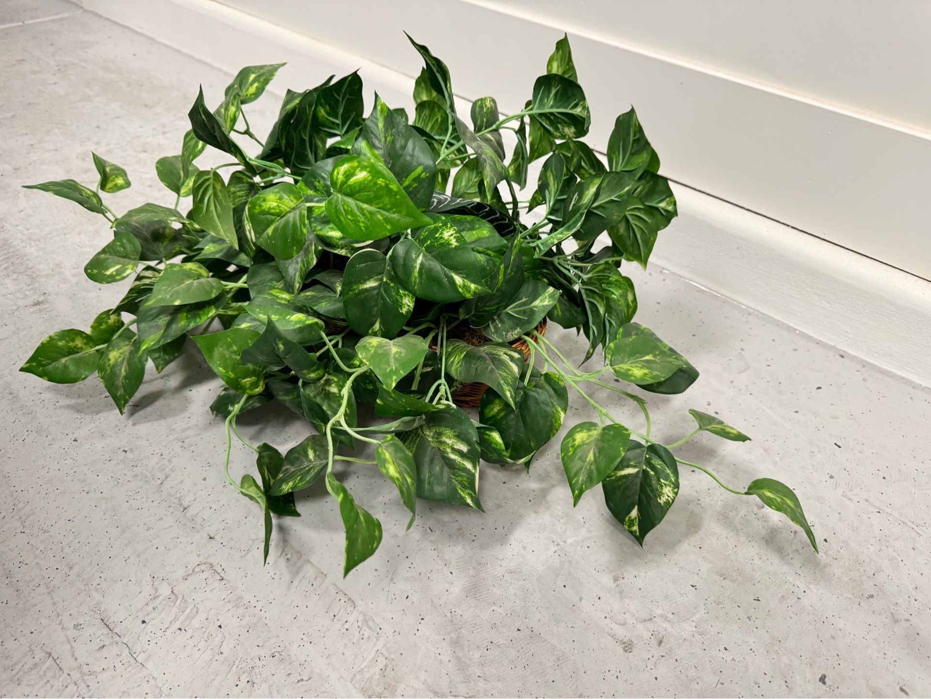 Artificial plants - 3 for $40 or $15 ea