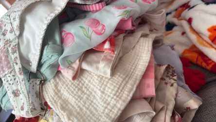 Baby girl clothing 12m