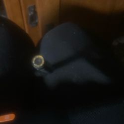 Car Camera. With Snake