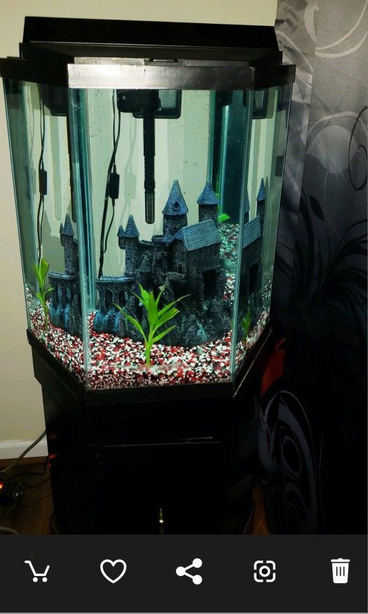 20 Gallon Hexagon Fish Tank With Stand