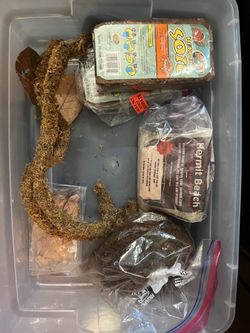 Coconut flakes, sand and other hermit and crab items