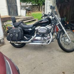 2004 1200 Sporty Harley Davidson 
