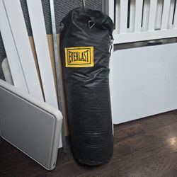 Punching Bag