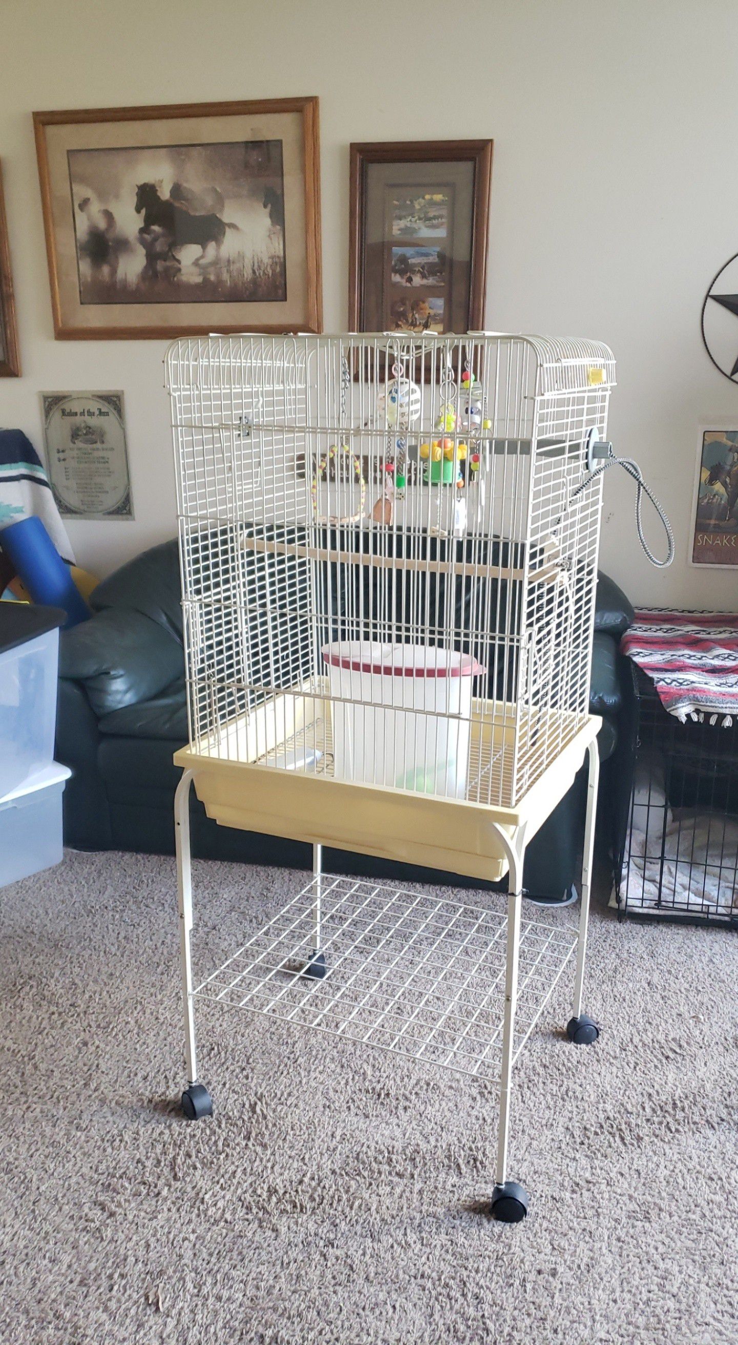 Brid cage and supplies