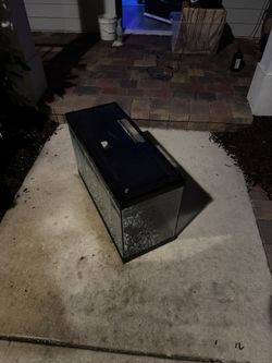 20 Gallon Fish Tank