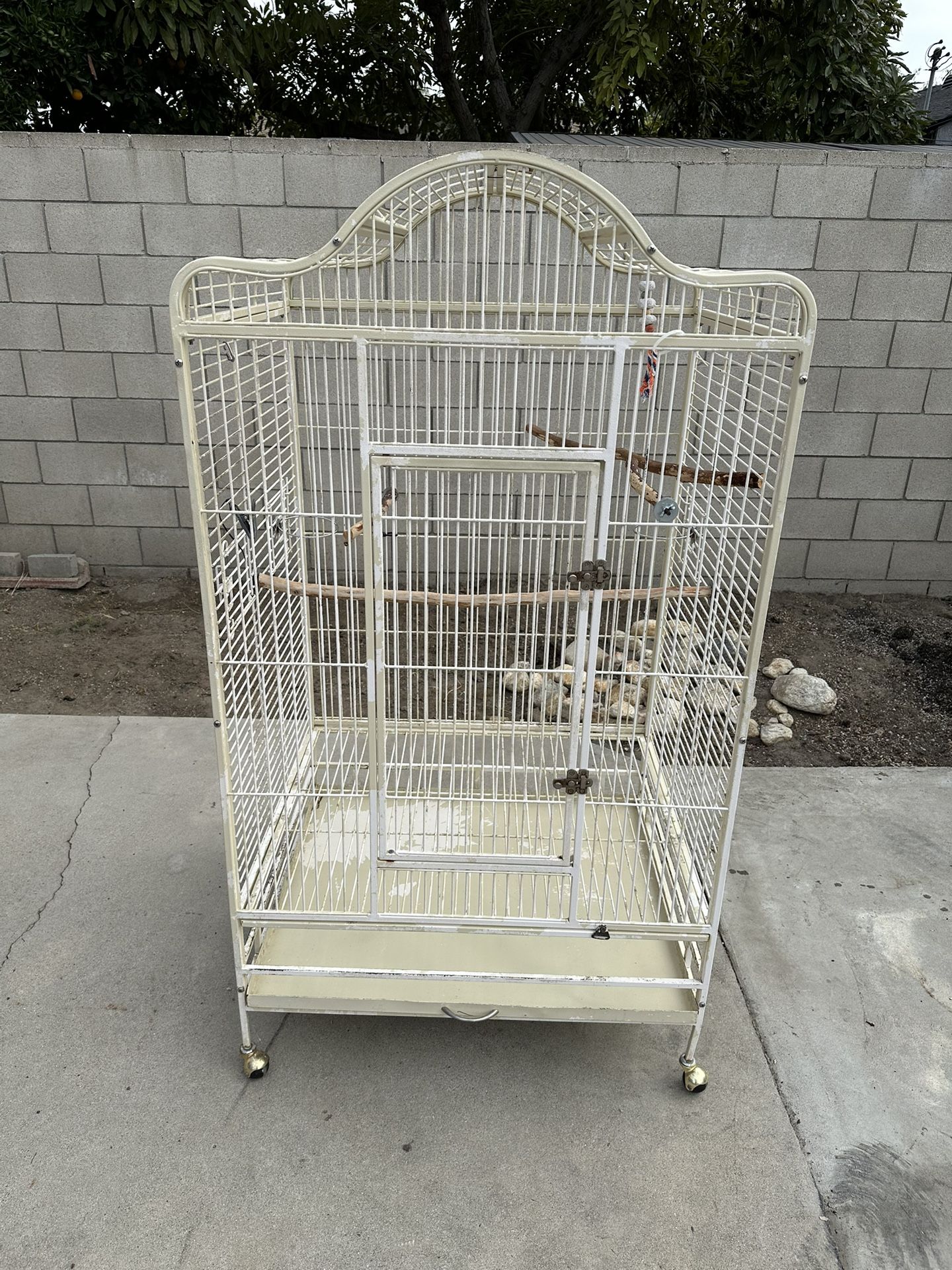 Bird Cage