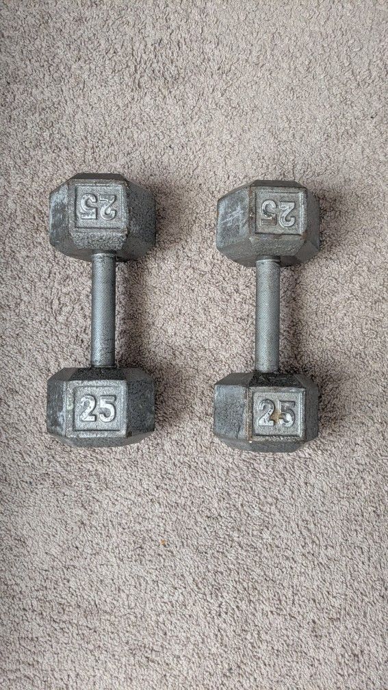 25lb Dumbbells