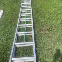 Lousville 24ft Ladder