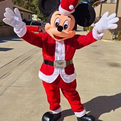 Mr Mouse Christmas Costume Mascot For Sale