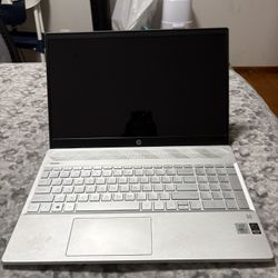 Hp Pavilion Laptop 15T-cs300    32gb Ram