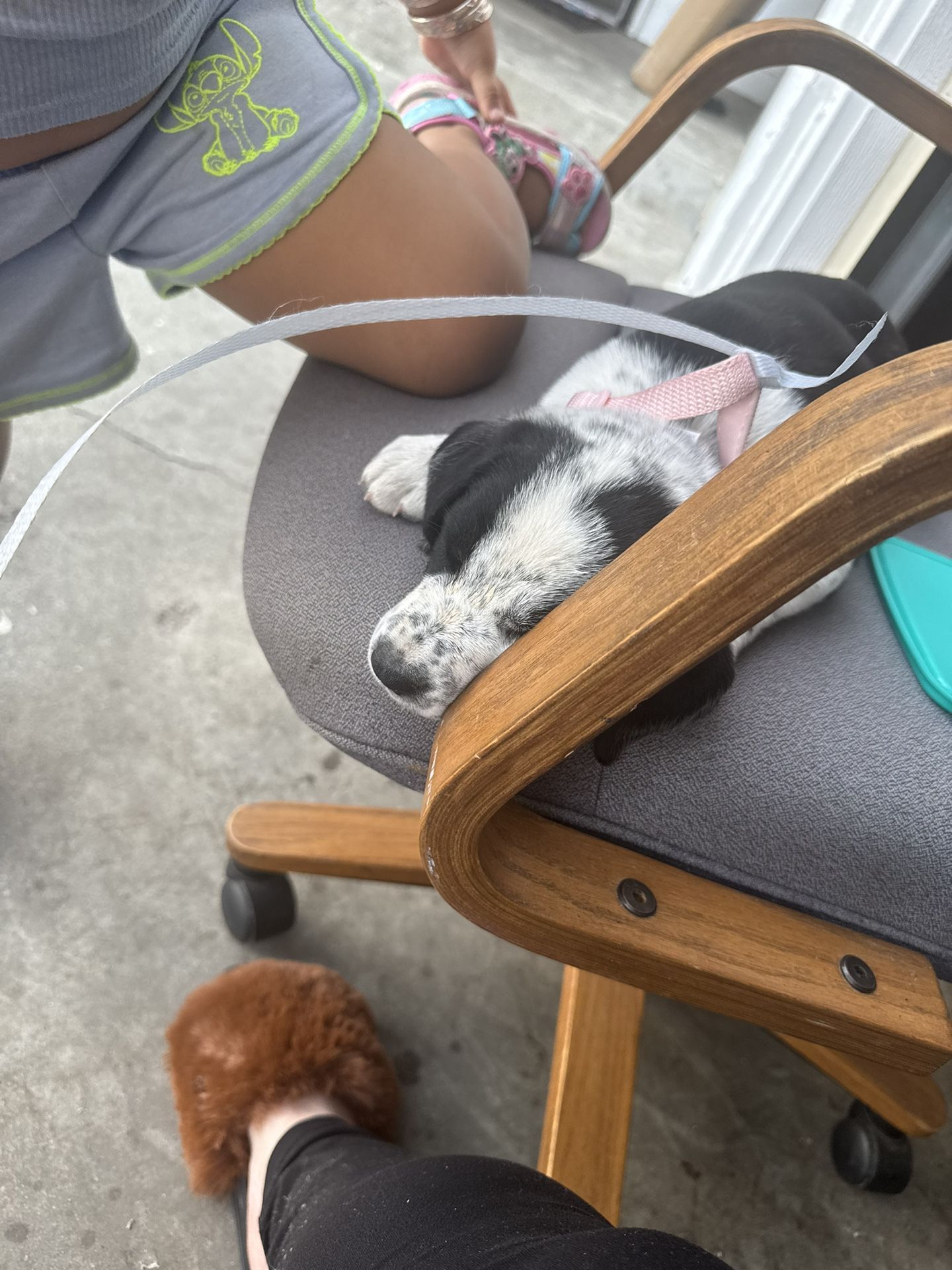 Office Chair