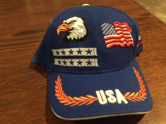 Brand new USA ball cap