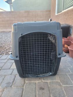 Large Hard-Sided Pet Travel Crate