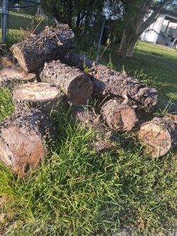 Free dry trunk