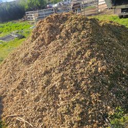 Free Mulch/ Wood
