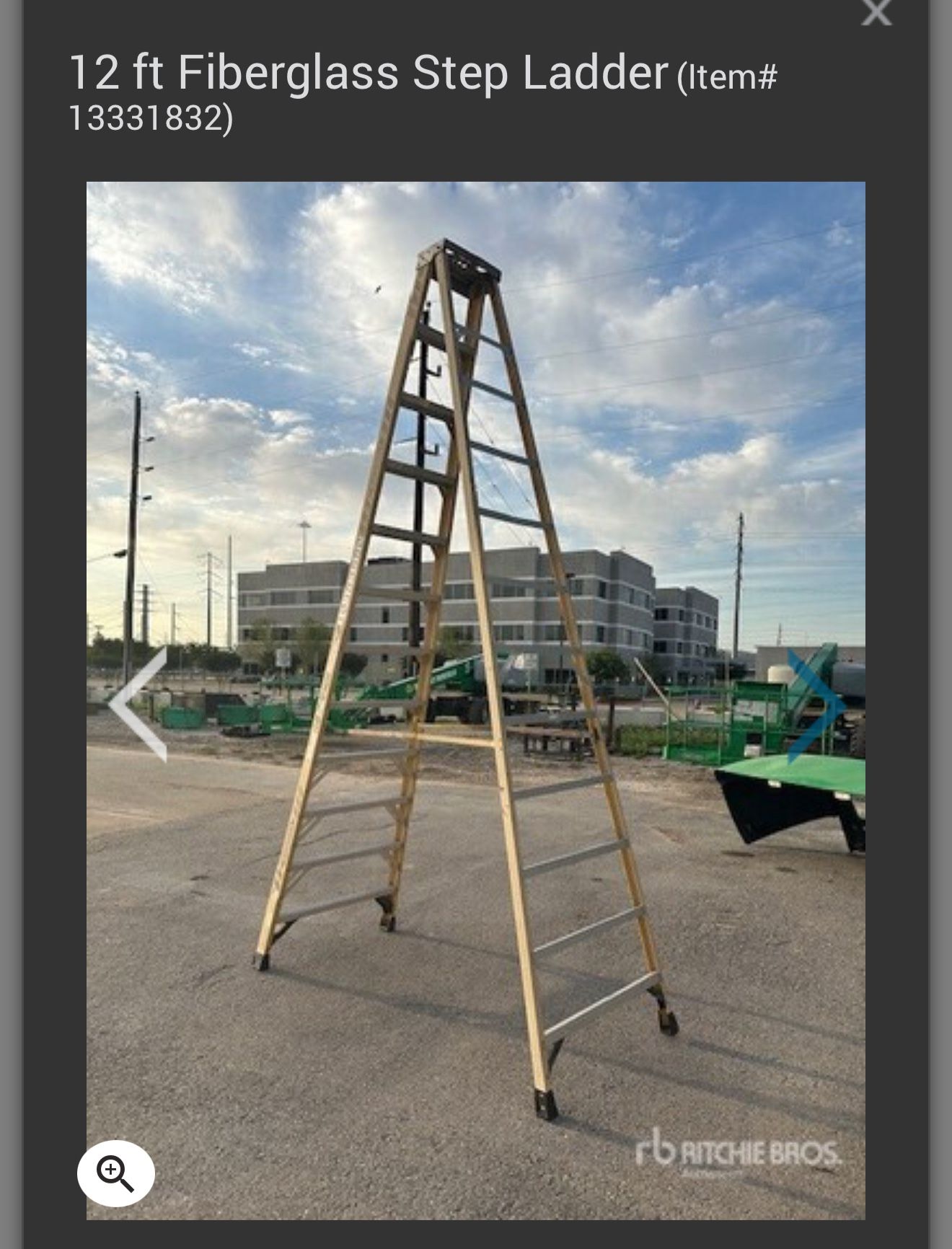 12 Foot Ladder