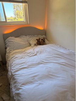 Free!! Full size bed frame and/or full size mattress