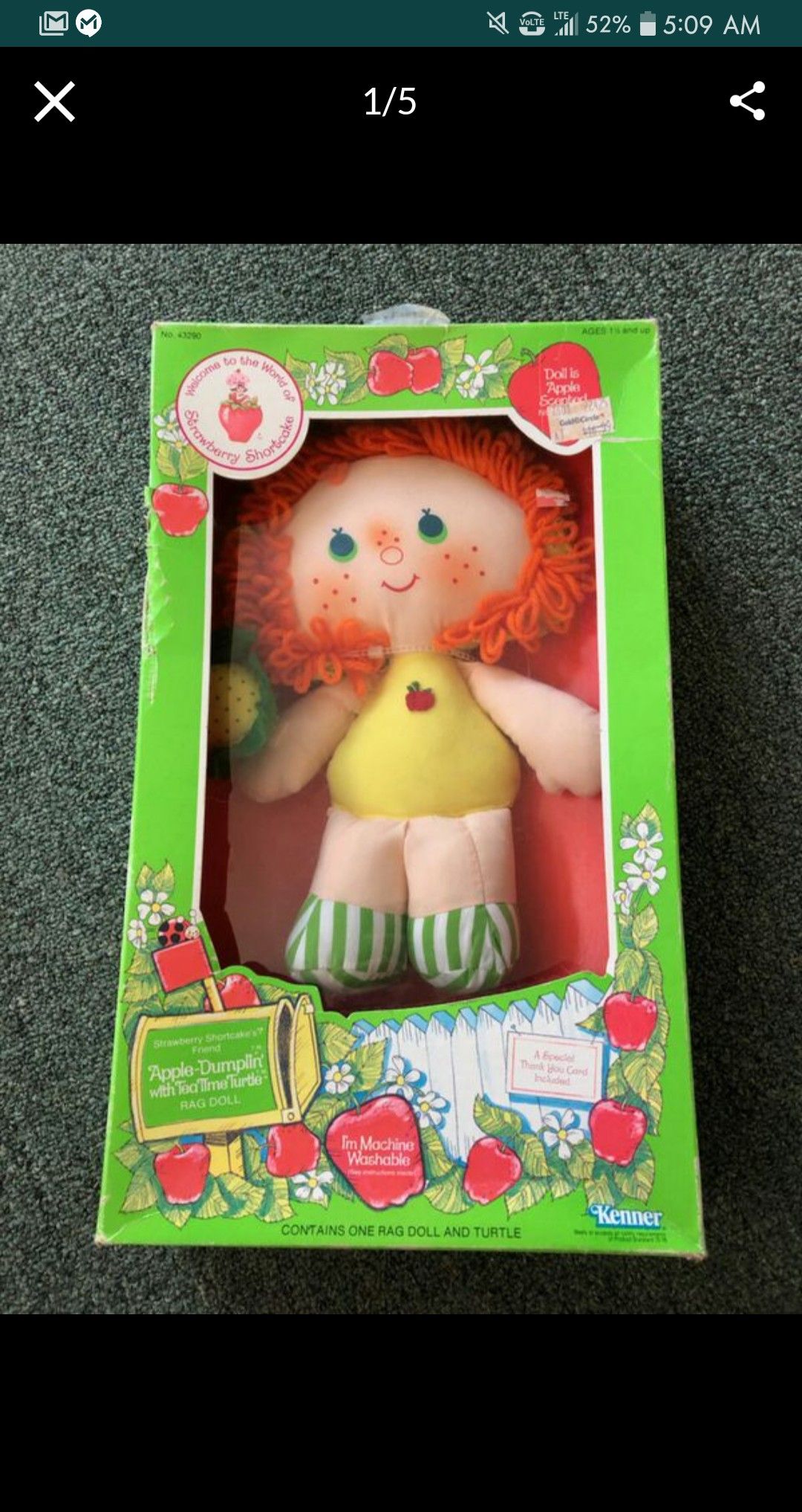 Strawberry Shortcake RAG Doll collection