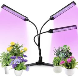 Grow Light for Indoor Plants
