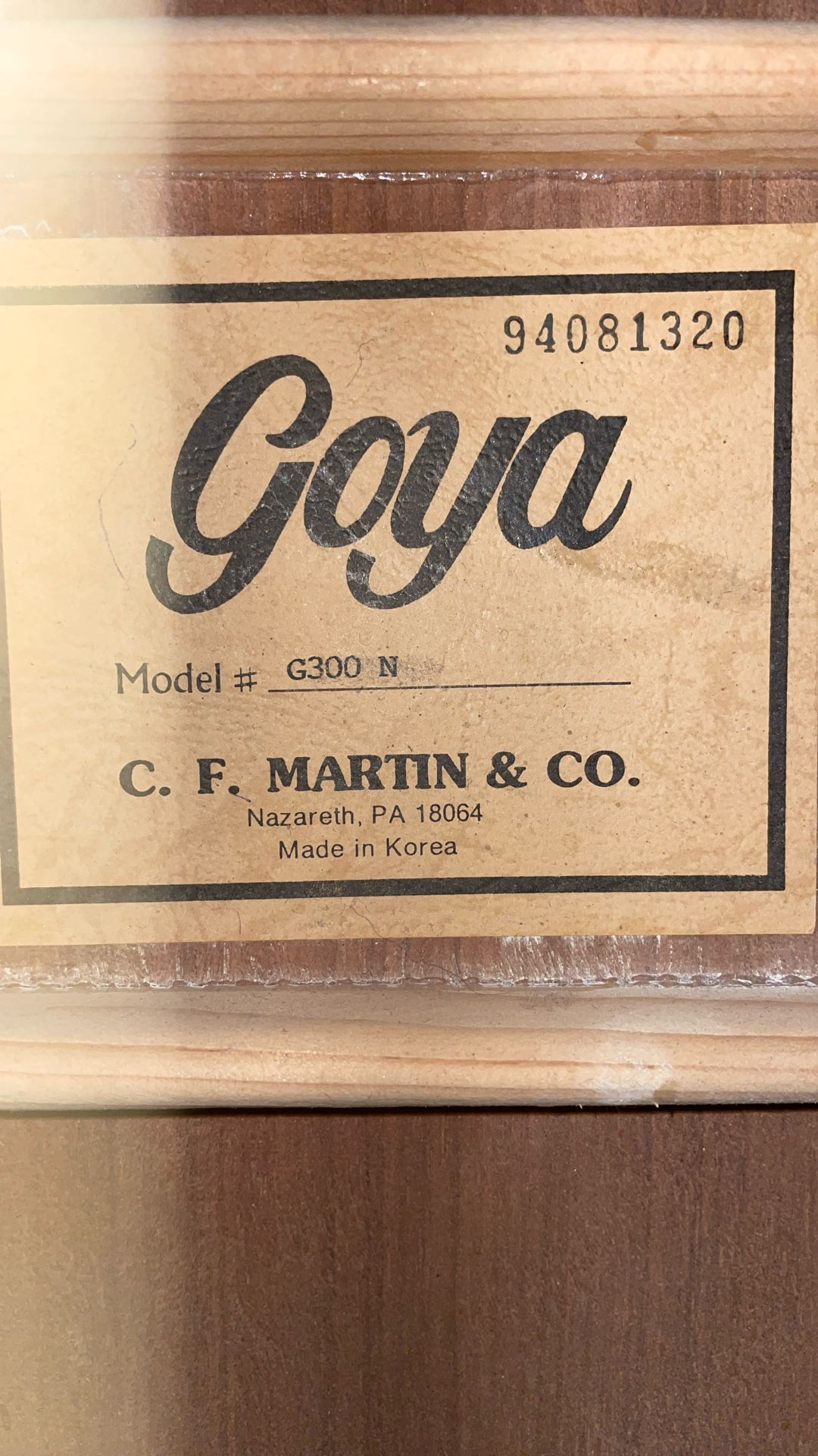 Goya G300N Acoustic Guitar