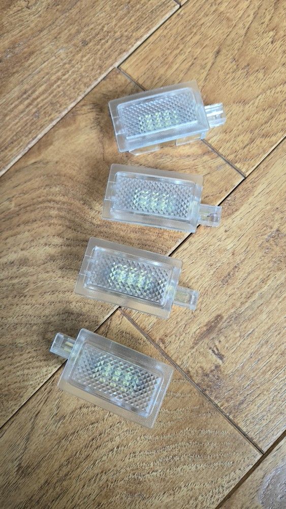 Dodge Charger Door Lights
