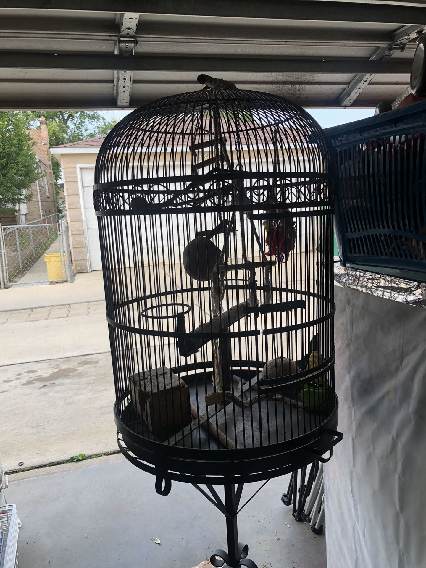 Bird Cage