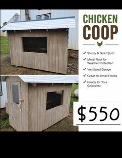 4x8 unpainted chicken coop